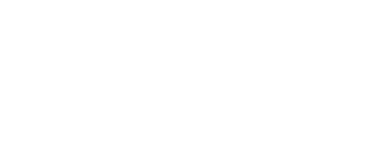 Deswik Race Logo White